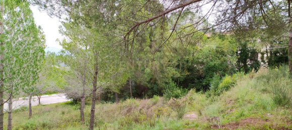 Terreno en Sant Llorenc D'hortons, Spain 495 m² No. 158912 2