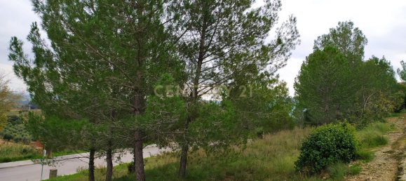 Terreno en Sant Llorenc D'hortons, Spain 495 m² No. 158912 10