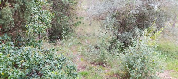 Terreno en Sant Llorenc D'hortons, Spain 495 m² No. 158912 30