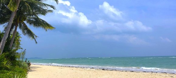 3 bedrooms Cafe / restaurant in Ko Samui, Thailand No. 6781 14