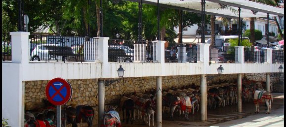 Villa de 3 dormitorios en Mijas, Spain No. 173469 74