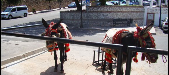 Villa de 3 dormitorios en Mijas, Spain No. 173469 75