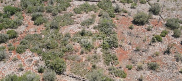 قطعة أرض في Sao Bartolomeu de Messines, Portugal 7320متر مربع رقم 51281 4