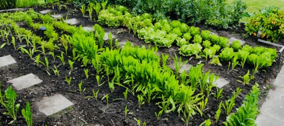 4 bedrooms Townhouse in Holzminden, Germany No. 271386 8