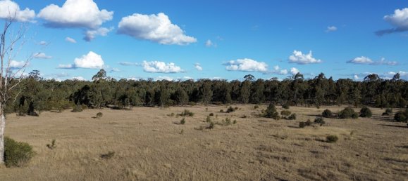 3 chambres Ferme à Wieambilla, Australia No. 228 3