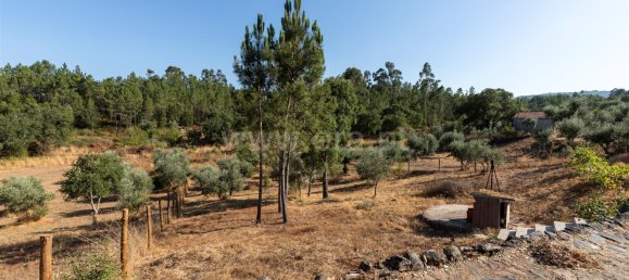3 Schlafzimmer Haus in Vila de Rei, Portugal, Nr. 258681 16