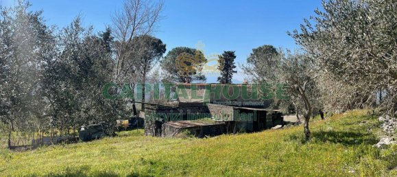 Terrain à Avella, Italy 10850m² No. 61676 5