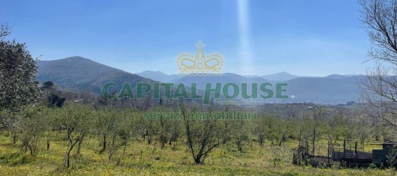 Terrain à Avella, Italy 10850m² No. 61676 4