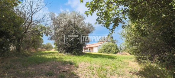 5-Zimmer Haus in Coriano, Italy, Nr. 330515 50
