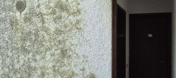 Estudio en Introbio, Italy No. 277885 22