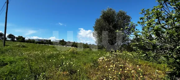 Земельный участок 4500м² в Албуфейра, Португалия № 63244 3