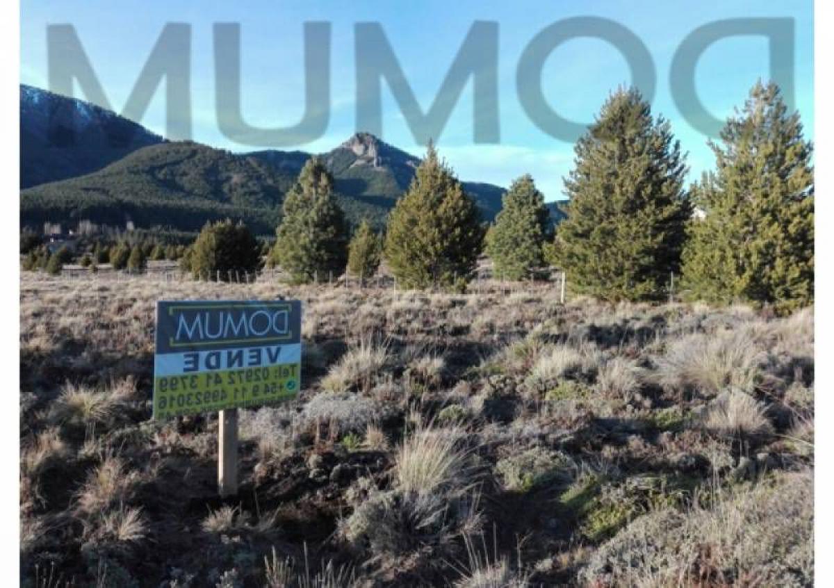  قطعة أرض في Neuquen, Argentina رقم 37653