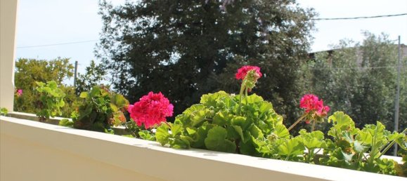 1 chambre Villa à Corfu, Greece No. 8685 12