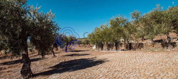 5 غرف نوم منزل في Meirinhos, Portugal رقم 90489 7