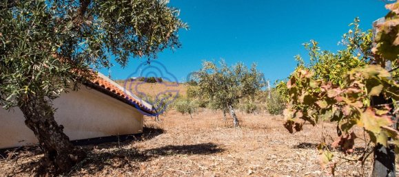 5 غرف نوم منزل في Meirinhos, Portugal رقم 90489 46