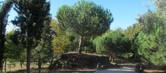 50650m² Land in Carregal do Sal, Portugal No. 89058 22
