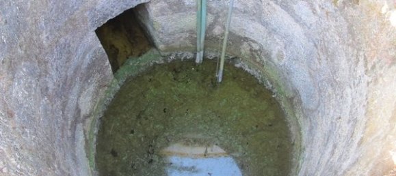 50650m² Land in Carregal do Sal, Portugal No. 89058 15