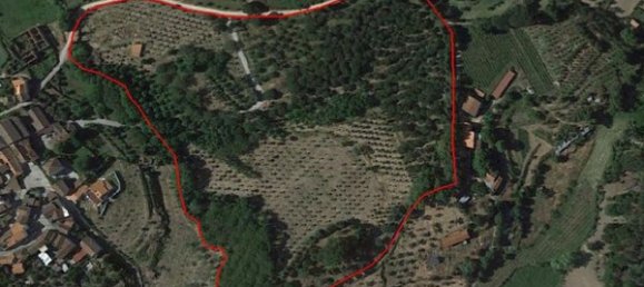 50650m² Land in Carregal do Sal, Portugal No. 89058 2