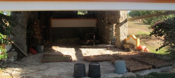 50650m² Land in Carregal do Sal, Portugal No. 89058 16