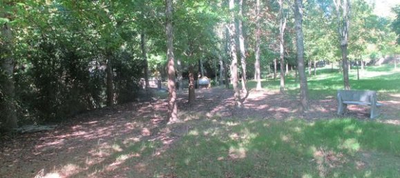 50650m² Land in Carregal do Sal, Portugal No. 89058 3