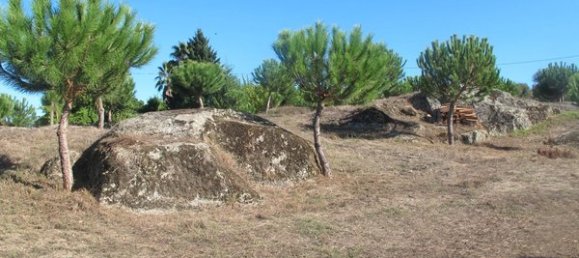 50650m² Land in Carregal do Sal, Portugal No. 89058 6