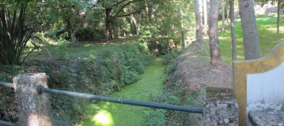 50650m² Land in Carregal do Sal, Portugal No. 89058 5