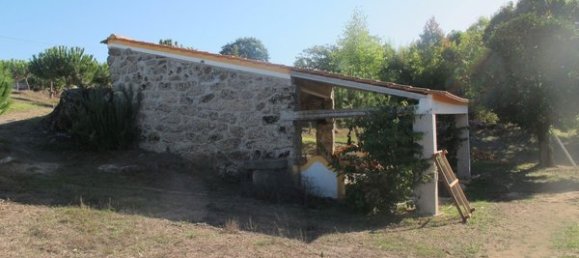 50650m² Land in Carregal do Sal, Portugal No. 89058 24