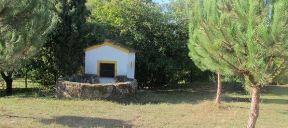 50650m² Land in Carregal do Sal, Portugal No. 89058 8