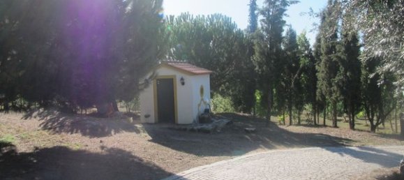 50650m² Land in Carregal do Sal, Portugal No. 89058 19