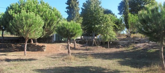 50650m² Land in Carregal do Sal, Portugal No. 89058 14