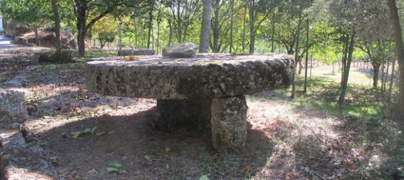 50650m² Land in Carregal do Sal, Portugal No. 89058 10