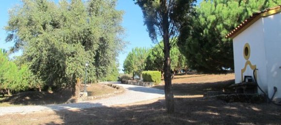50650m² Land in Carregal do Sal, Portugal No. 89058 21