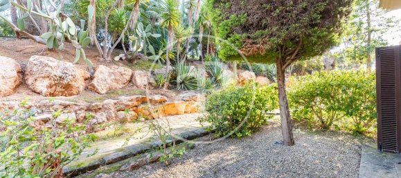 2 bedrooms Apartment in Mallorca, Spain No. 81001 40