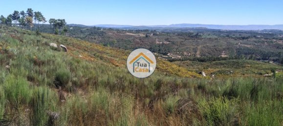 5 غرف نوم قلاع في Viseu, Portugal رقم 58296 33