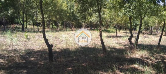 5 غرف نوم قلاع في Viseu, Portugal رقم 58296 18