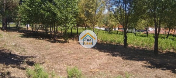 5 غرف نوم قلاع في Viseu, Portugal رقم 58296 15