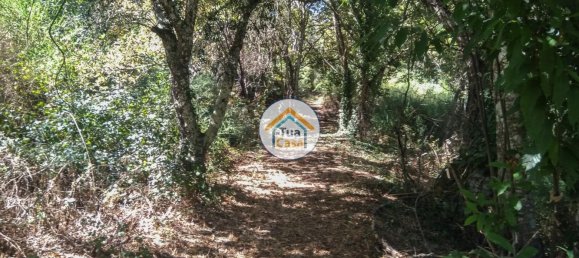 5 غرف نوم قلاع في Viseu, Portugal رقم 58296 23