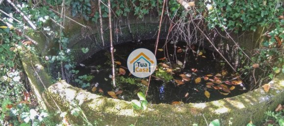 5 غرف نوم قلاع في Viseu, Portugal رقم 58296 26