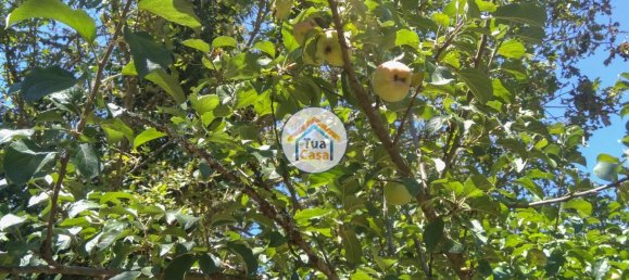 5 غرف نوم قلاع في Viseu, Portugal رقم 58296 21