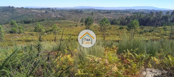 5 غرف نوم قلاع في Viseu, Portugal رقم 58296 31