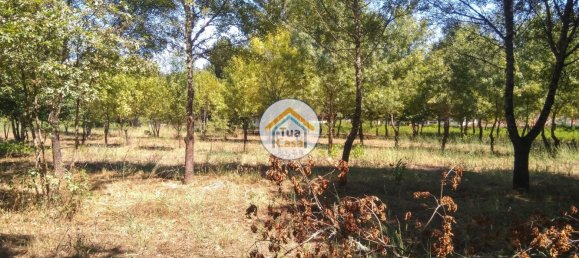 5 غرف نوم قلاع في Viseu, Portugal رقم 58296 25