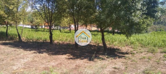 5 غرف نوم قلاع في Viseu, Portugal رقم 58296 12