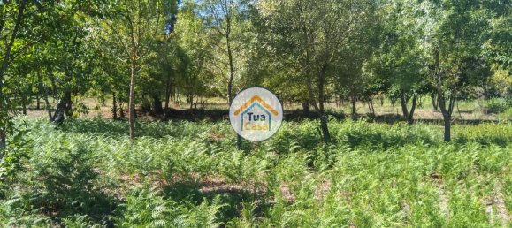 5 غرف نوم قلاع في Viseu, Portugal رقم 58296 28