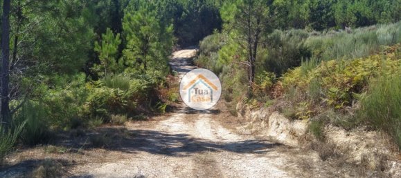 5 غرف نوم قلاع في Viseu, Portugal رقم 58296 32