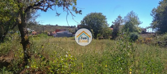 5 غرف نوم قلاع في Viseu, Portugal رقم 58296 19