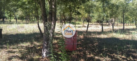 5 غرف نوم قلاع في Viseu, Portugal رقم 58296 17