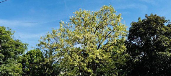 2غرفة شقة في Brigittenau, Austria رقم 185320 9