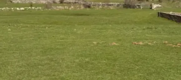 5 bedrooms Townhouse in Aguilar de Campoo, Spain No. 71162 16