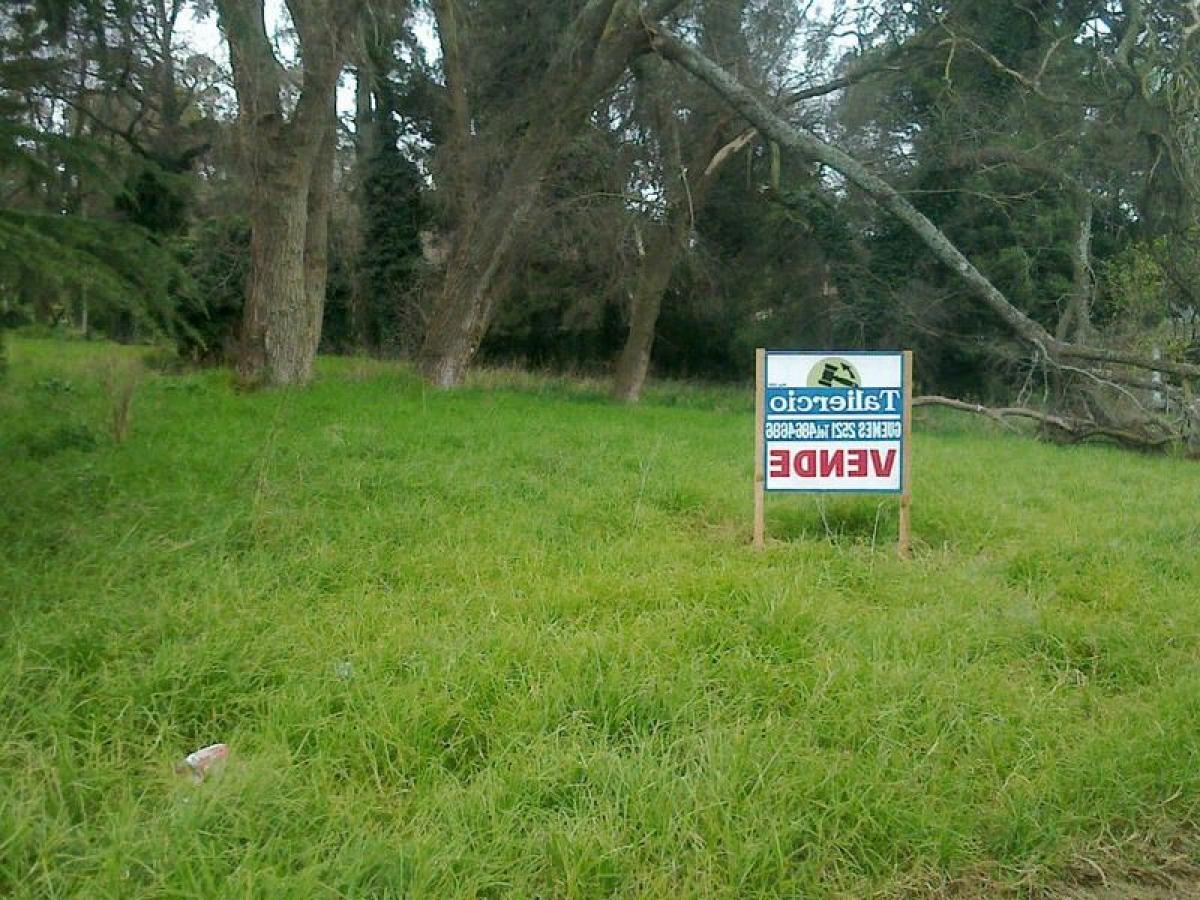  Land in General Pueyrredon, Argentina No. 40744