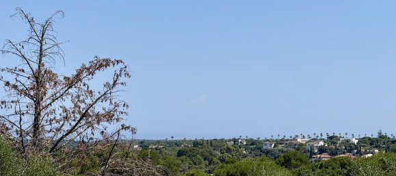 844m² Land in Cadiz, Spain No. 183498 12